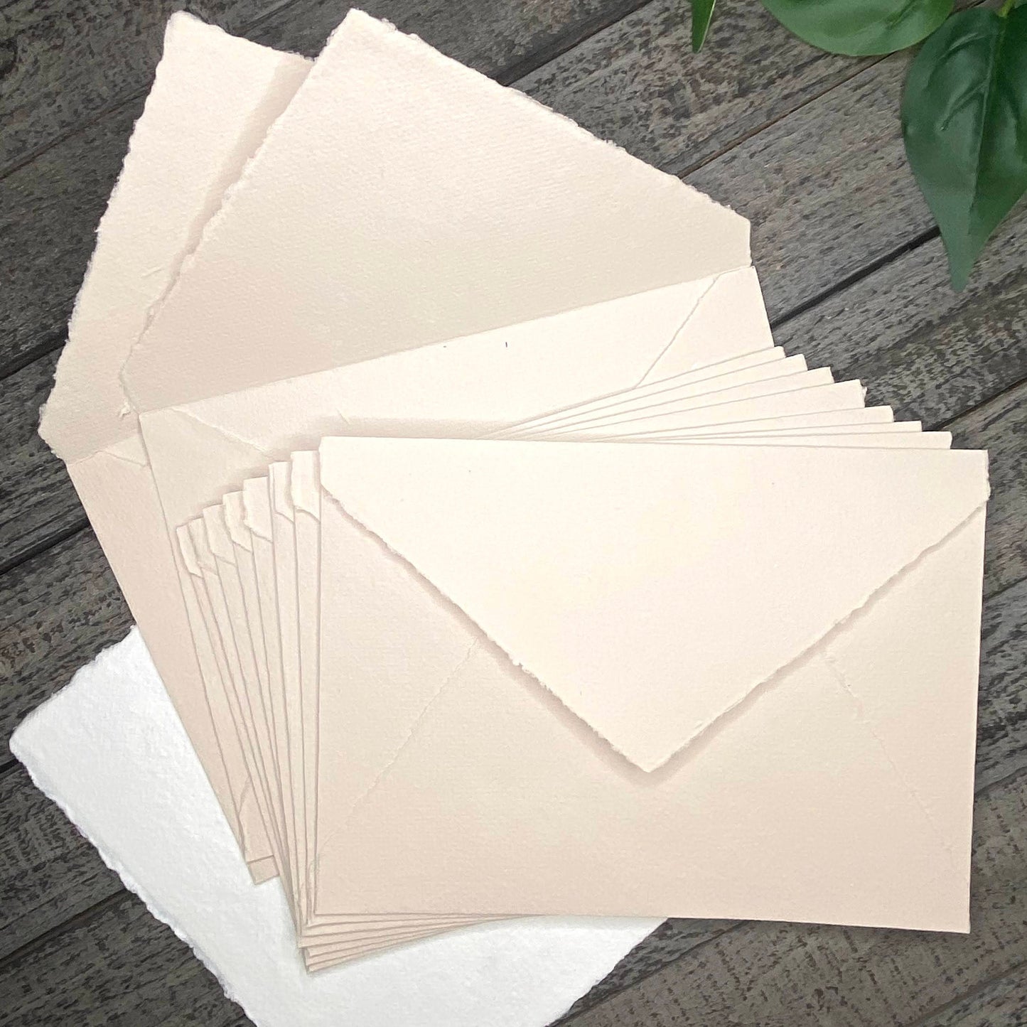 Beige Stationery Set 20pcs - Handmade Cotton Paper & Envelopes, Deckle Edge, Calligraphy, Thank You Cards, RSVP, Letter Writing