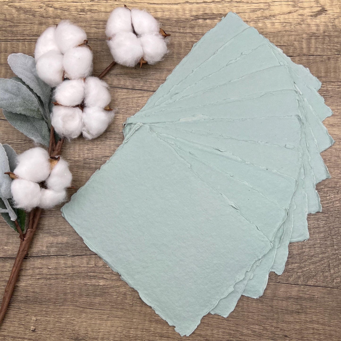 Light Sage Handmade Cotton Paper | Deckle Edge Paper 10 Sheets | 300gsm | Wedding, Art, Stationery | Torn Edge Paper | Cotton Rag