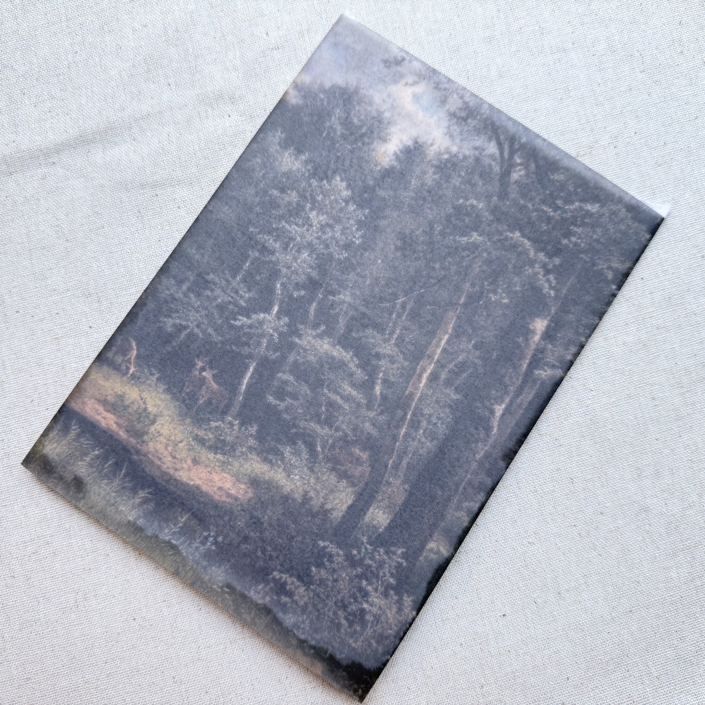 Vellum 5x7 Jacket — Handmade Paper Overlay (Set of 10)